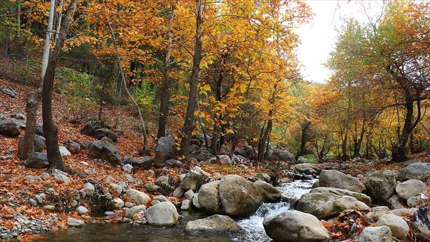 Sonbahar ekinoksu için geri sayım başladı! Gece gündüz eşitlenecek, mevsim değişiyor 1